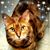Aleta See's profile image