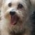 Jory Haggerty's profile image