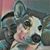 Rich Barrios's profile image