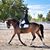 Annette Spinetti's profile image
