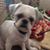 Mark Smith's profile image