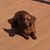 Vickie Whaley Jackson's profile image