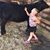 Dj-Lacey Shipman McCarley's profile image