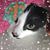 Maria Rea's profile image