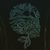 La Pantera Salvaje's profile image