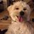 Michael Maday's profile image