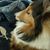 Jeannine JP Primeau's profile image