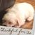 Rita Smith's profile image