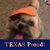 Mark Brooks's profile image
