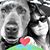 Cathy Winton Gray's profile image