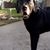 Cyndi Ostlund's profile image