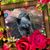 Brenda Barter's profile image