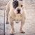 Petey Hernandez's profile image