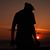 Nikos Stamogiannos's profile image