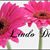 Miriam G Briseño's profile image