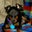 Amy H's profile image