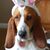Stella Sullivan's profile image