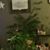 Janet Sleezer's profile image