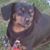 Hopper Jo McCallister's profile image