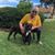 Helen Ashford-Barnes's profile image