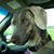 Monte Eggert's profile image
