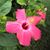 Kimberly Marie's profile image