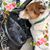 Becky Koenig's profile image