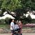 Maria DiRaffaele Marchione's profile image
