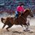 Jana Turner's profile image