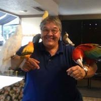 Donna Kopitsky's profile image