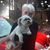 Shirley Barci's profile image