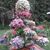Dennis Kunst's profile image