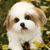 JillyBean Mayes's profile image