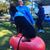 Angela Hoppe's profile image