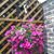 Teresa Boyer's profile image