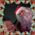 Debi Mott's profile image