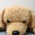 Carol Crouse's profile image