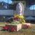 Mago Ambriz's profile image
