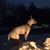 Alison Volz's profile image