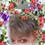 Dawn Pace's profile image