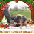 Tina Coffman Baughn's profile image
