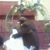 Buster Raggs Jr's profile image