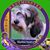 Beverly Childs's profile image