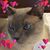 Carolyn Gener's profile image