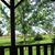 Laurie Greene Michaud's profile image