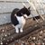 Sheila Neidhardt's profile image