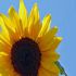 TABITHA H.'s profile image
