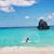Amanda K. Thuell's profile image