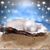 Margaret Cecile's profile image