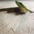 Karen Joe Tarmichael Dollinger's profile image